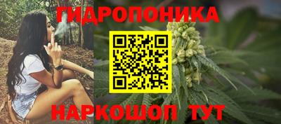 амфетамин Гатчина
